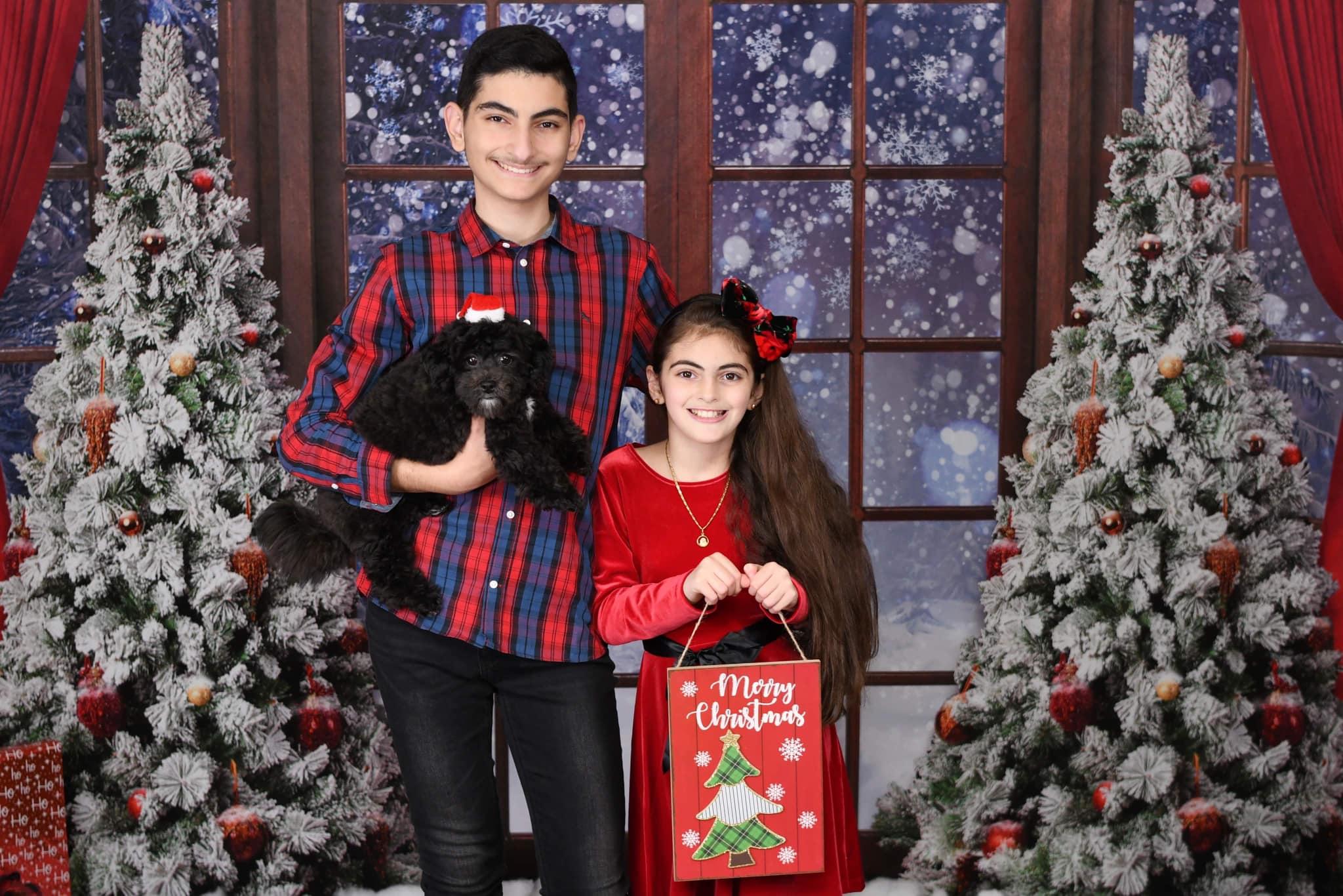 Kate Fenêtre Noël Hiver Neige Toile de fond conçue par Chain Photographie - Kate Backdrop FR