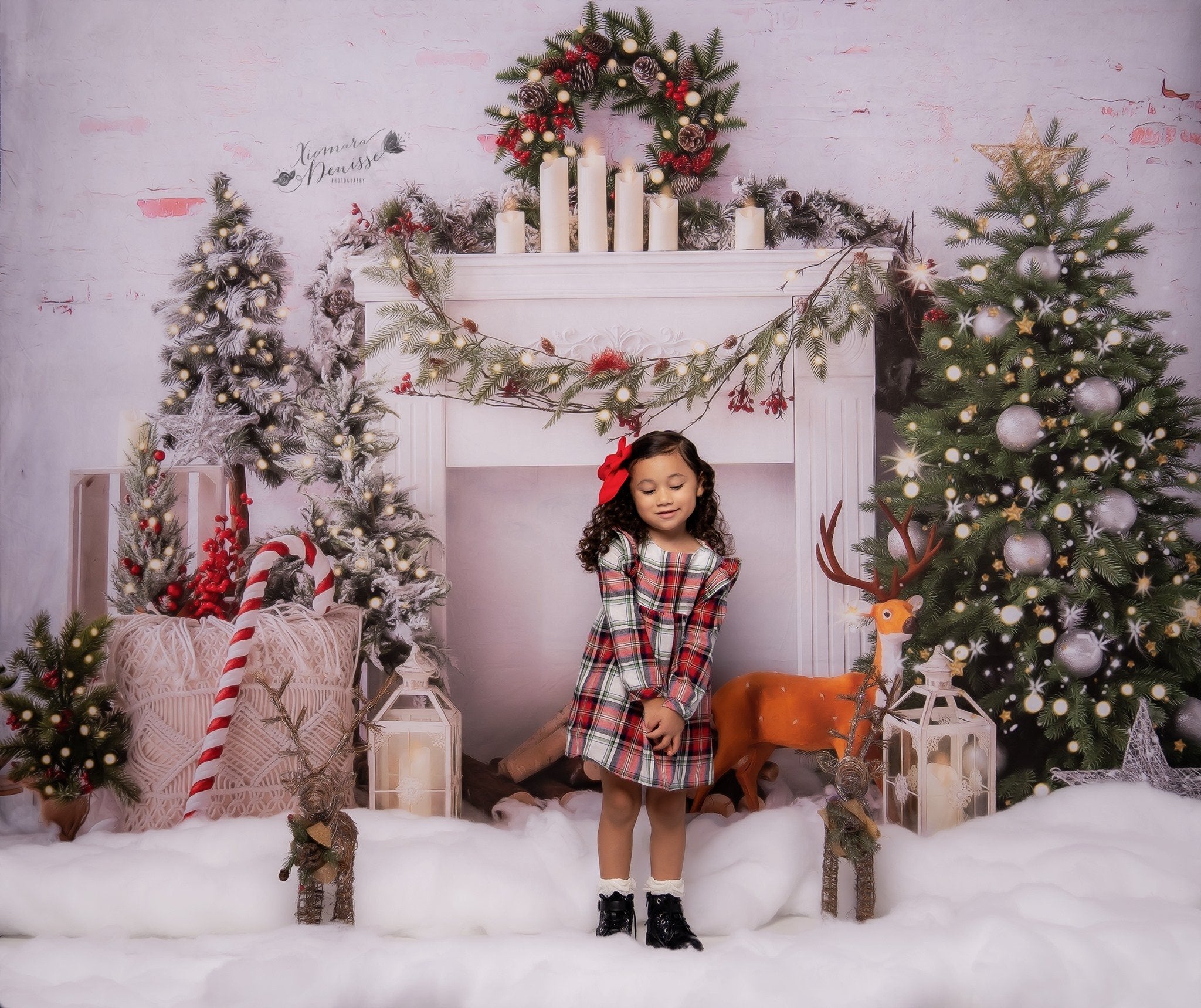 Kate Cheminée Noël Boho Blanc Wapiti Toile de fond conçue par Emetselch - Kate Backdrop FR