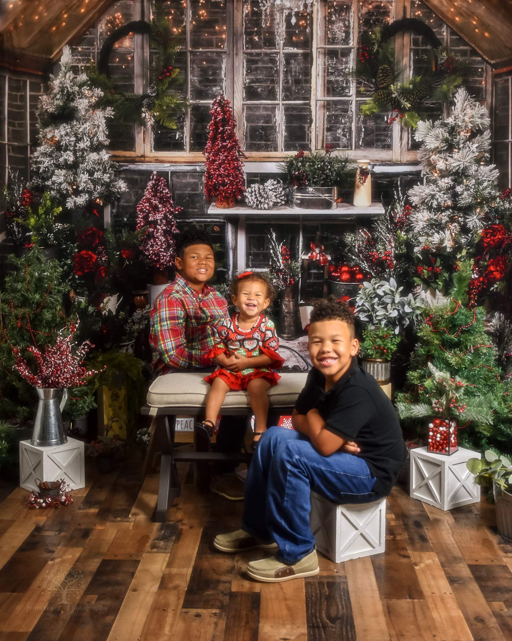 Kate Hiver Maison en Bois Arbre Noël Plantes Toile de fond conçue par Arica Kirby - Kate Backdrop FR