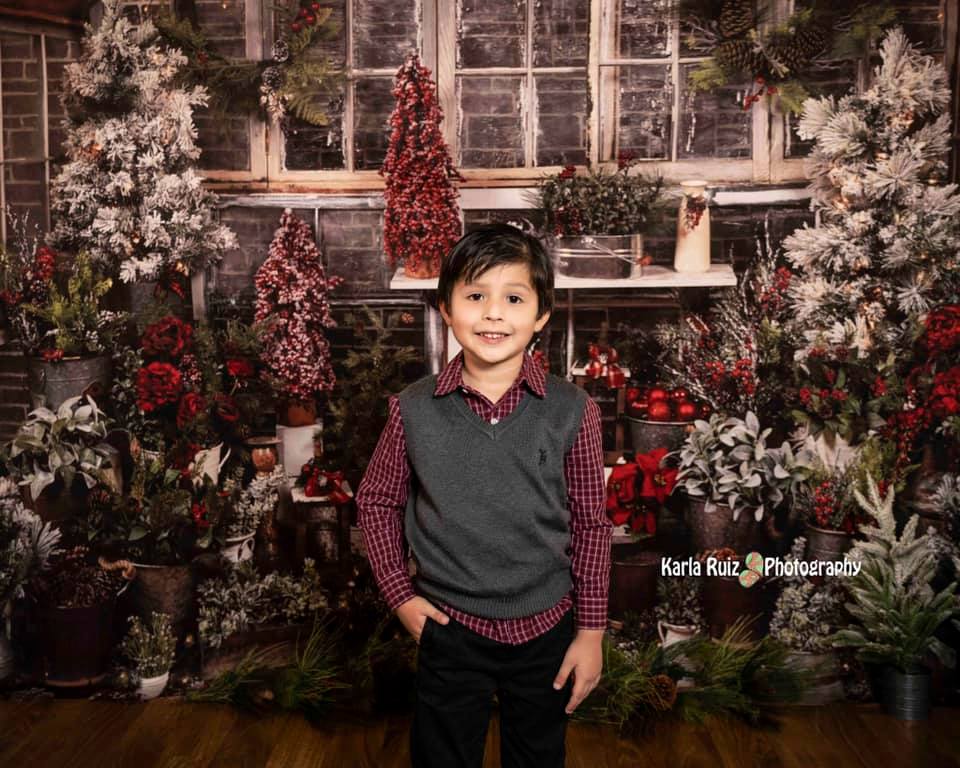 Kate Hiver Maison en Bois Arbre Noël Plantes Toile de fond conçue par Arica Kirby - Kate Backdrop FR