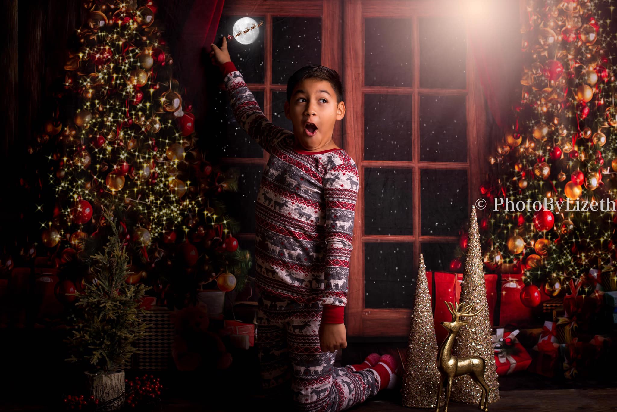 Kate Porte Noël Hiver Nuit Toile de fond pour la photographie - Kate Backdrop FR