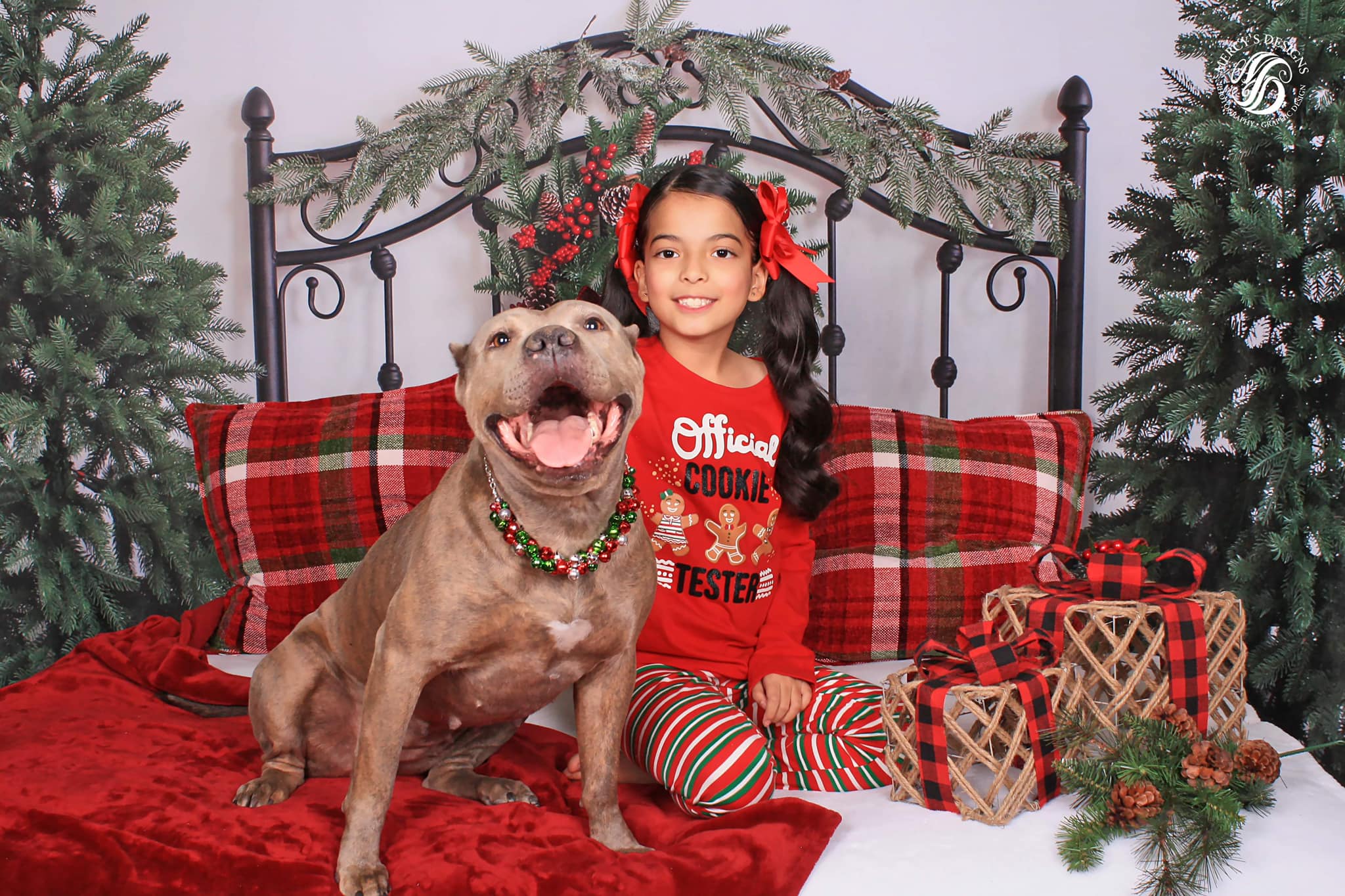 Kate Tête de lit Noël Arbre Vert Toile de fond conçue par emetselch - Kate Backdrop FR