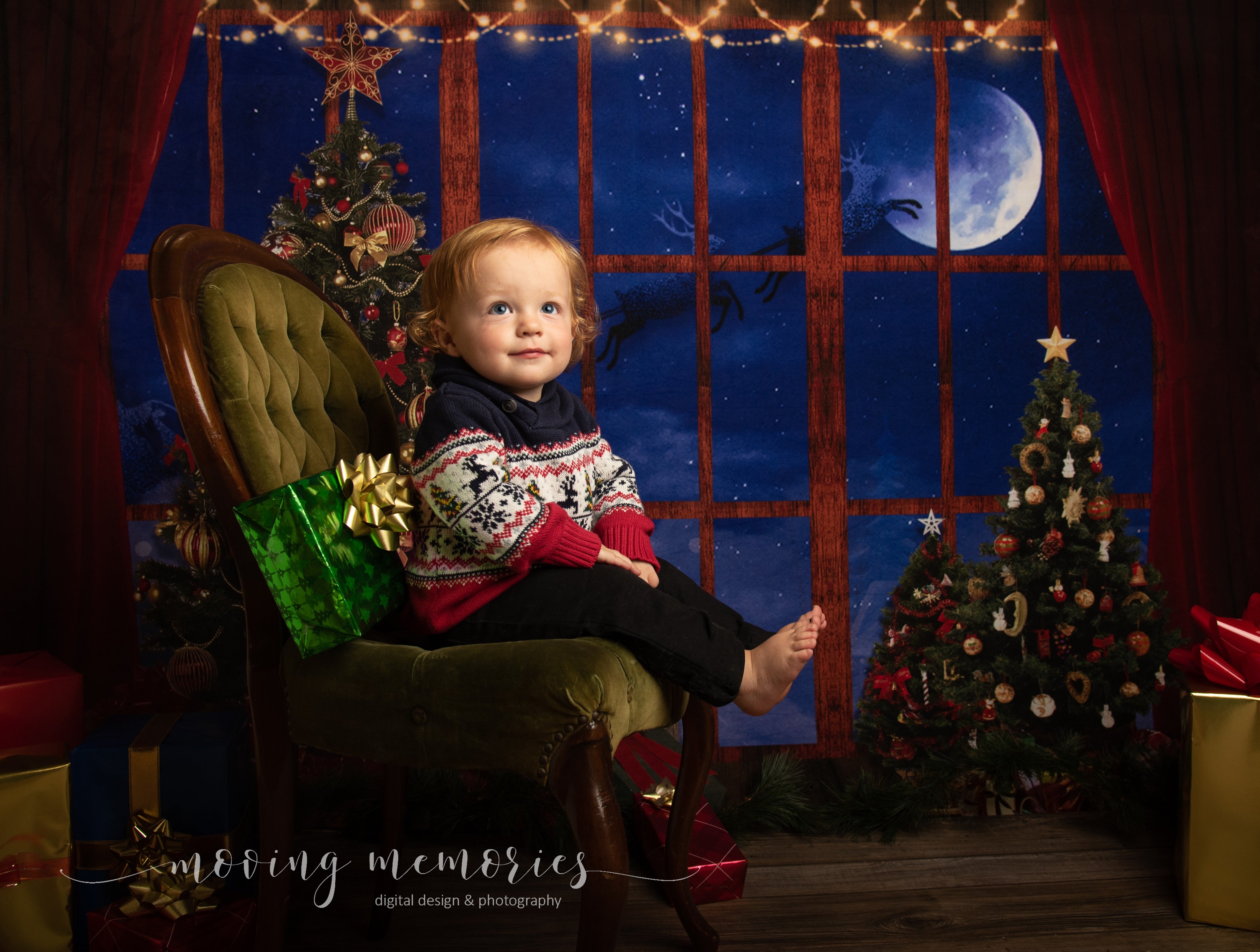 Kate Fenêtre Sapin de Noël Wapiti Lune Toile de fond conçue par Chain Photography - Kate Backdrop FR