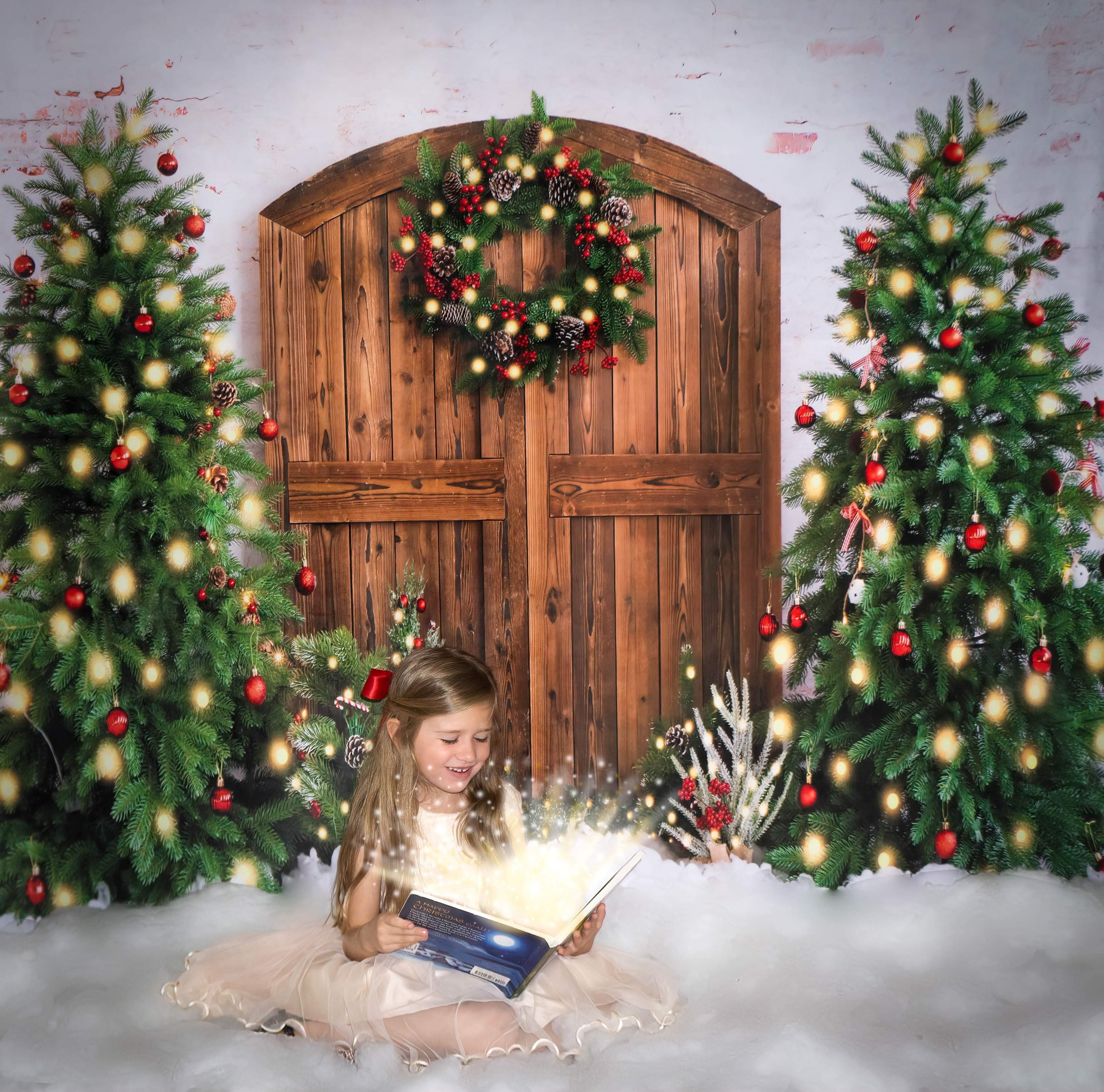 Kate Sapin de Noël Couronne Neige Hiver Toile de fond conçue par Emetselch - Kate Backdrop FR