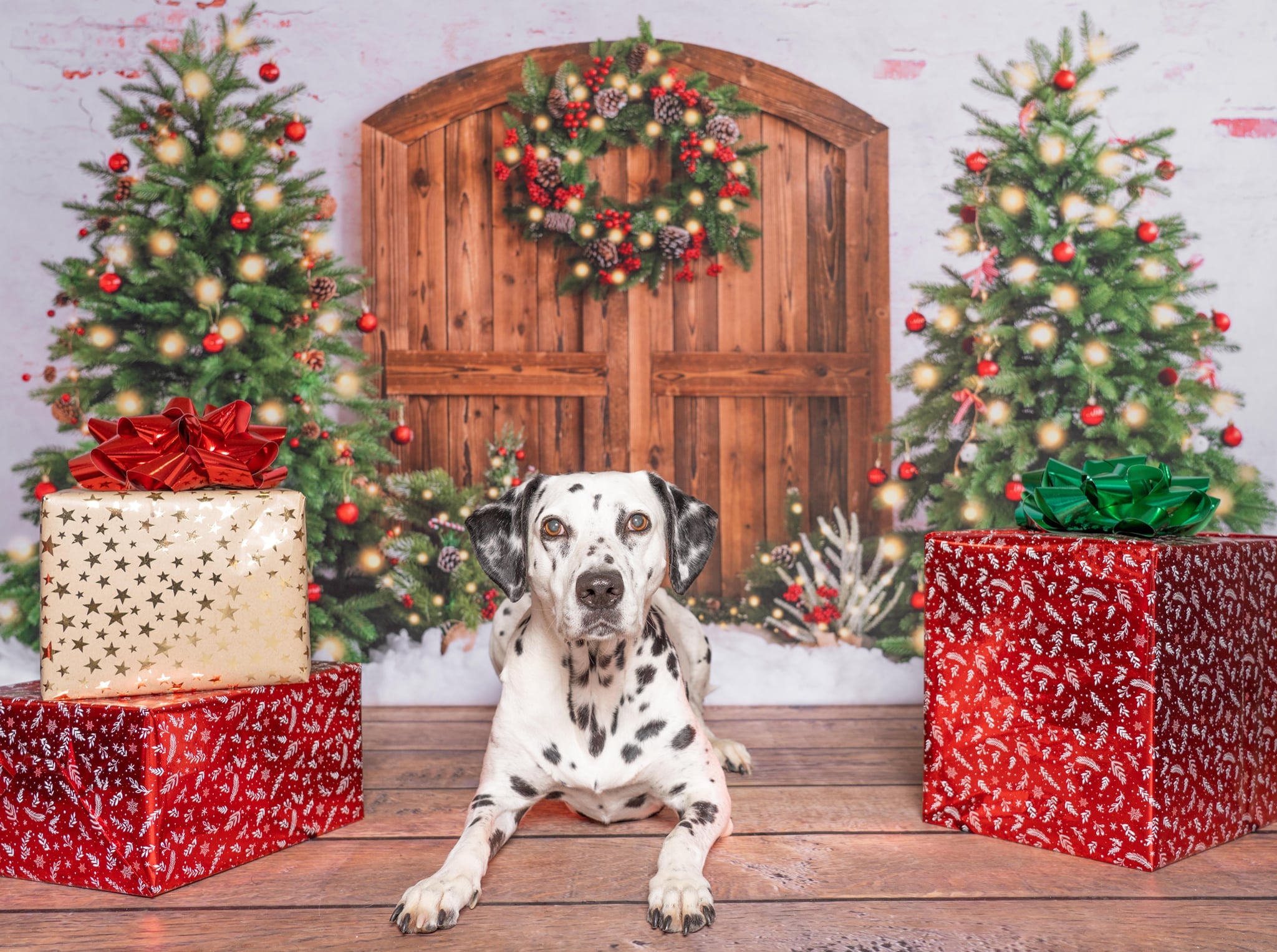 Kate Sapin de Noël Couronne Neige Hiver Toile de fond conçue par Emetselch - Kate Backdrop FR