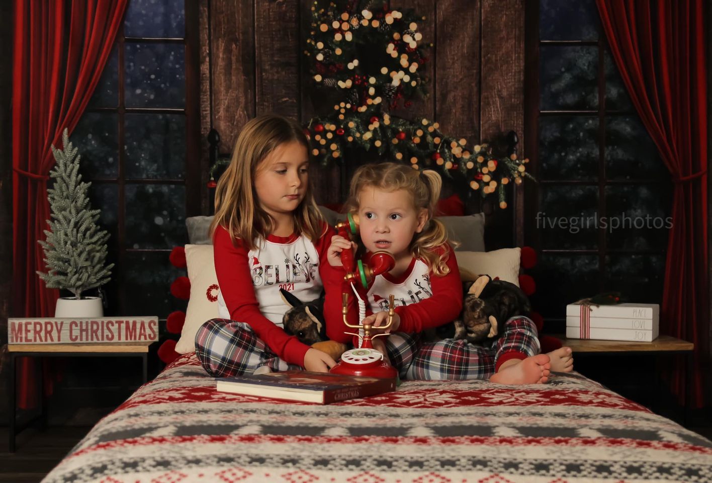 Kate Couronne Hiver Planche de bois Noël Toile de fond conçue par Emetselch - Kate Backdrop FR