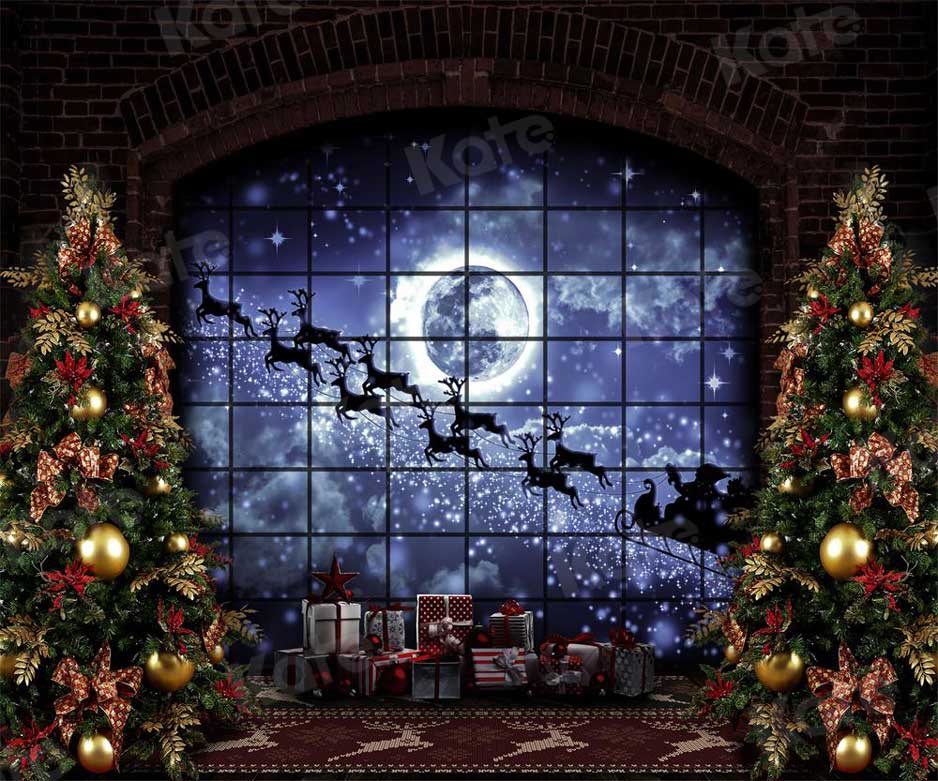 Kate Wapiti Noël Fenêtre Lune Toile de fond pour la photographie - Kate Backdrop FR