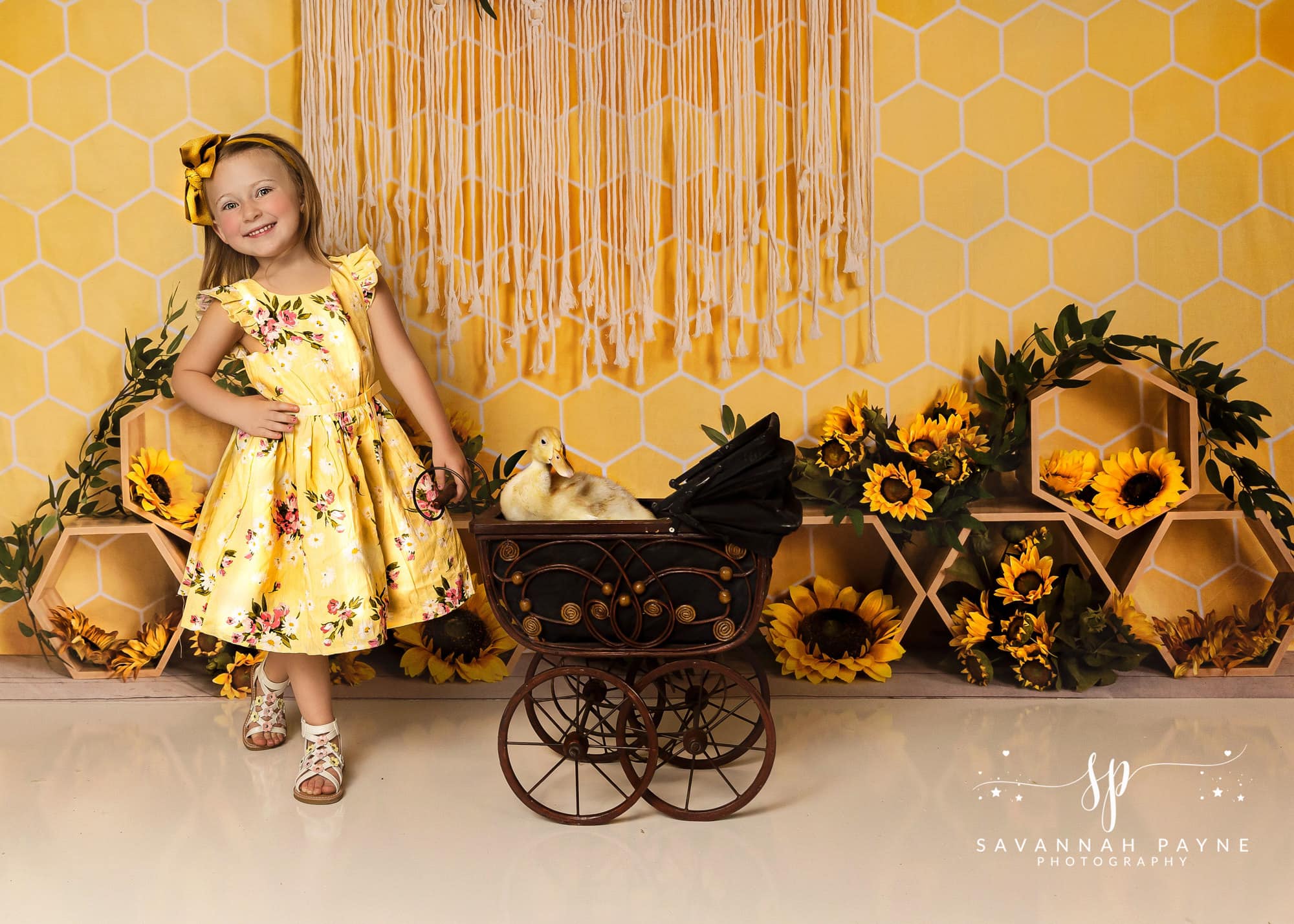 Kate Jaune Nid d'abeilles Boho Cake Smash Toile de fond conçue par Emetselch - Kate Backdrop FR