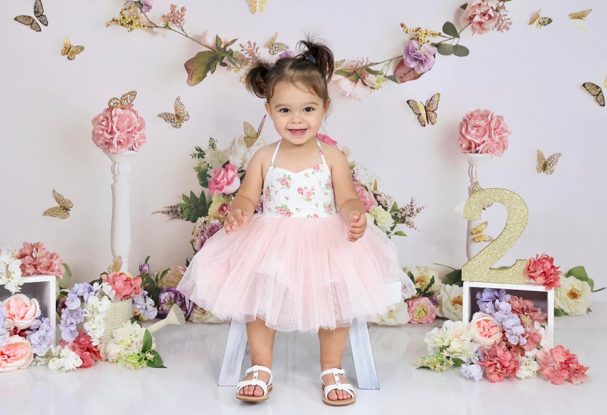 Kate Jardin Papillons Anniversaire Toile de fond conçue par Mandy Ringe - Kate Backdrop FR