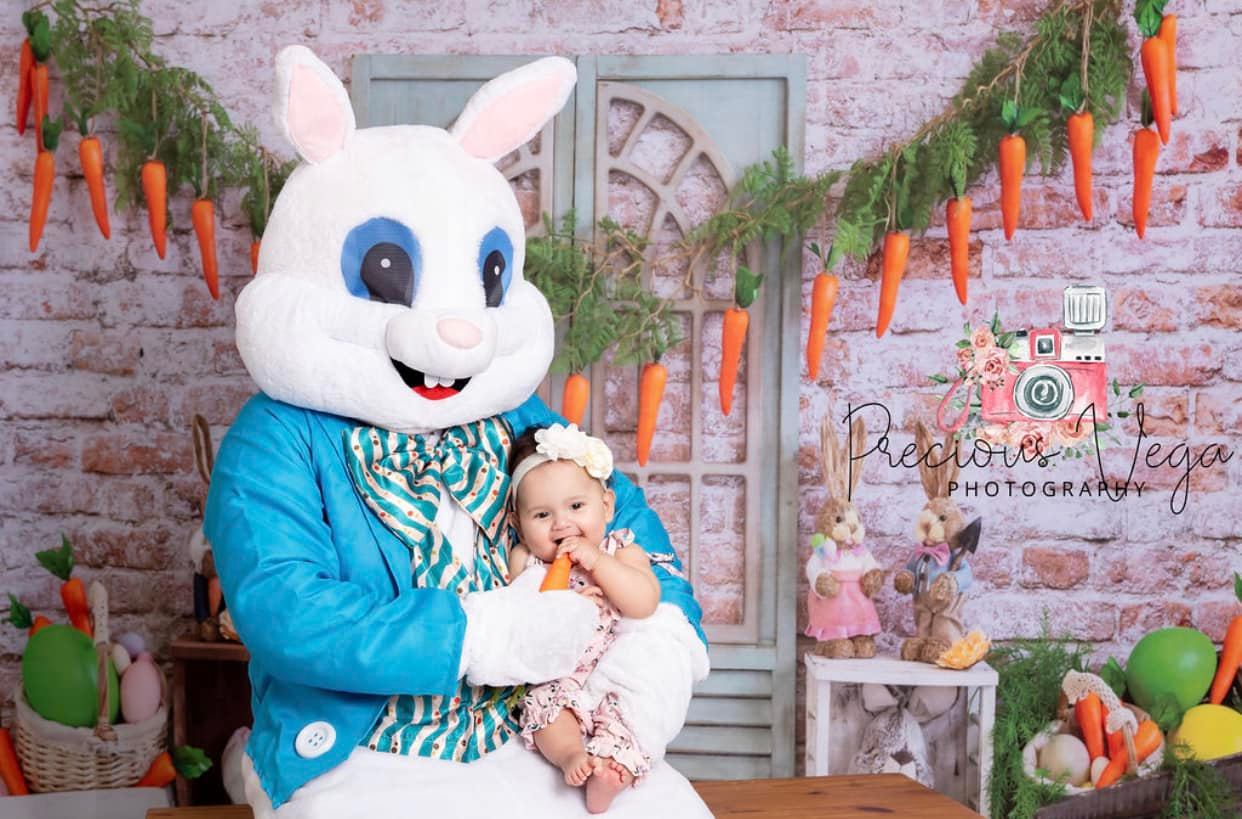 Kate Carottes Lapin Pâques Œufs Toile de fond conçue par Emetselch - Kate Backdrop FR