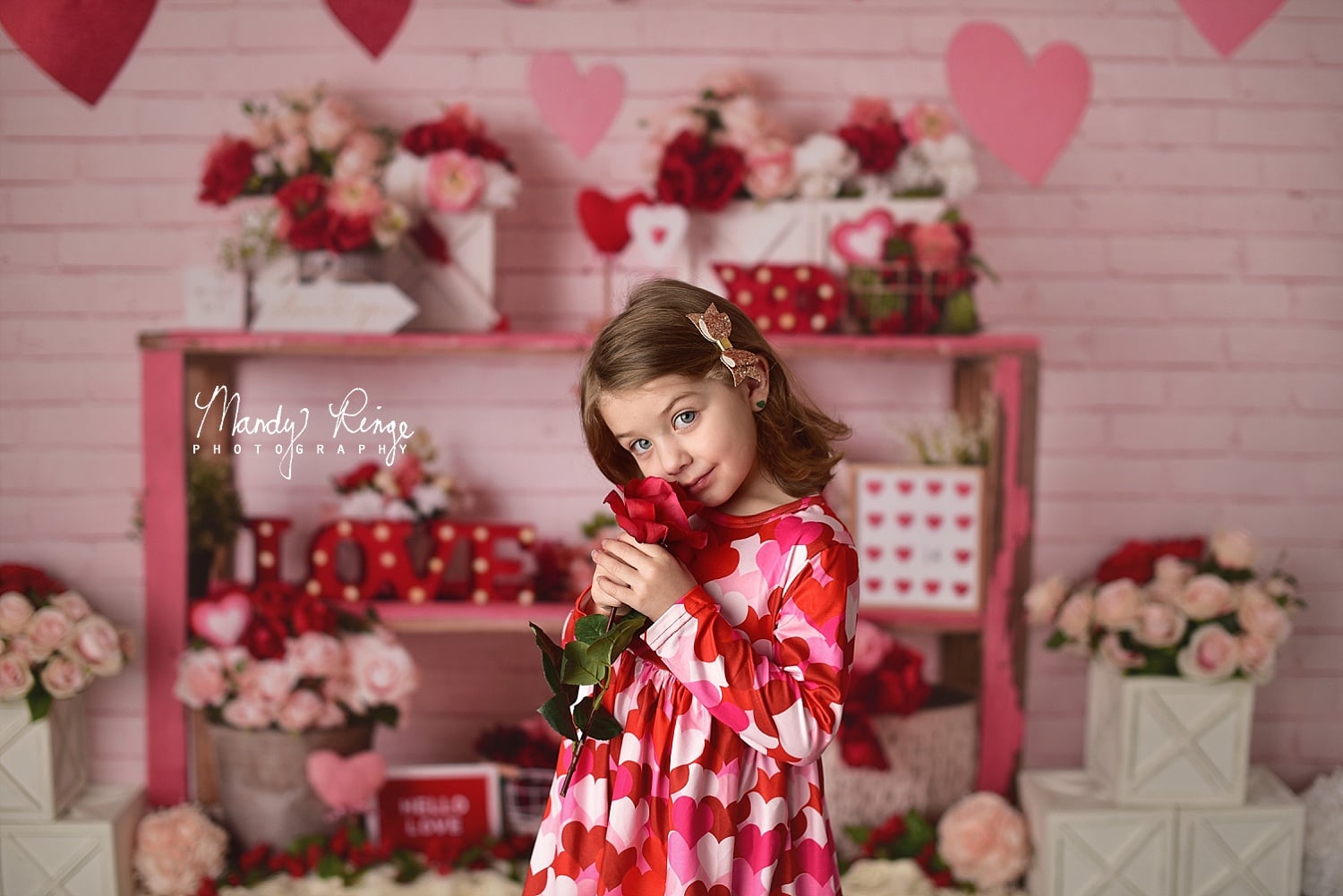 Kate Coeur Amour Saint-Valentin Rose Toile de fond conçu par Mandy Ringe - Kate Backdrop FR