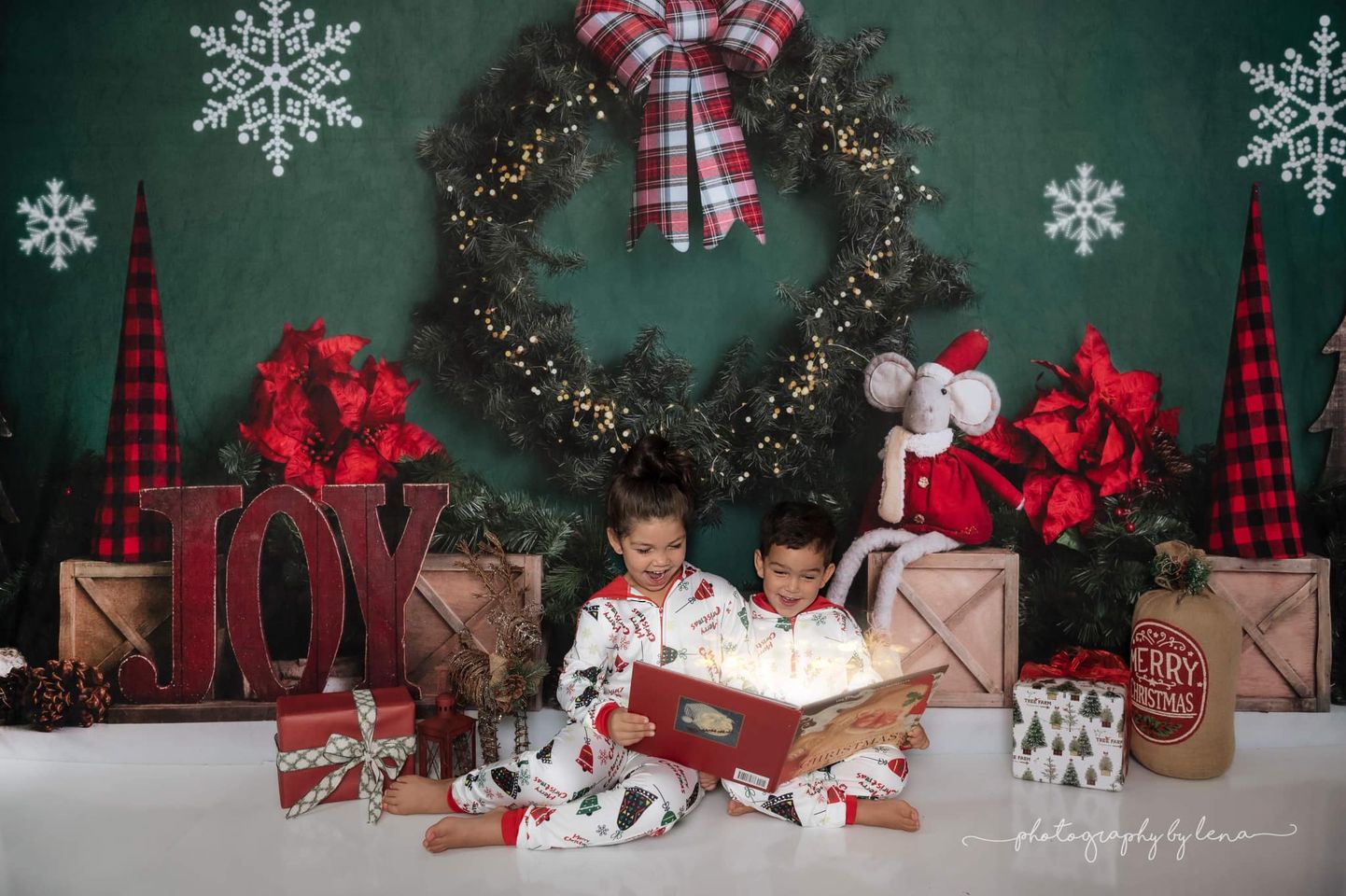 Kate Joie de Noël Vert Neige Photographie Toile de fond conçue par Megan Leigh - Kate Backdrop FR