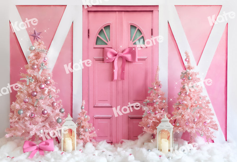 Kate Rose Princesse Noël Porte Hiver Toile de fond conçu par Emetselch - Kate Backdrop FR