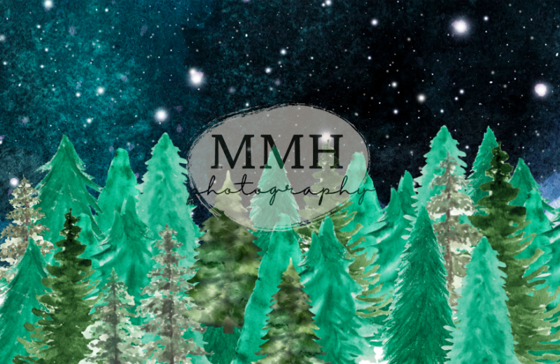 Kate Toile de fond de camping à l'extérieur de la ligne d'arbres nocturnes conçu par Melissa McCraw-Hummer - Kate Backdrop FR