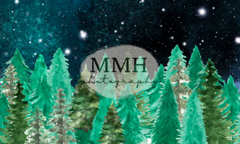 Kate Toile de fond de camping à l'extérieur de la ligne d'arbres nocturnes conçu par Melissa McCraw-Hummer - Kate Backdrop FR