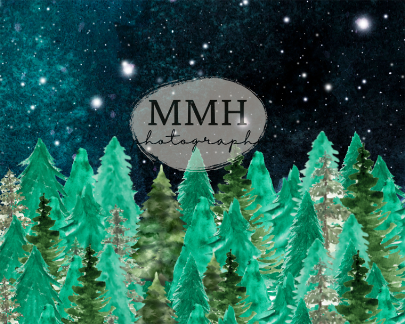 Kate Toile de fond de camping à l'extérieur de la ligne d'arbres nocturnes conçu par Melissa McCraw-Hummer - Kate Backdrop FR