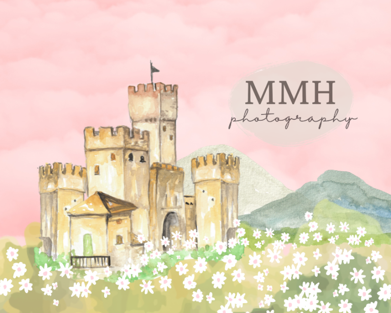 Kate Il était une fois une toile de fond du château de princesse conçu par Melissa McCraw-Hummer - Kate Backdrop FR