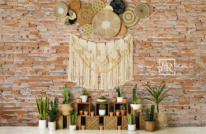 Kate Mur de briques Boho Cactus Toile de fond conçue par Mandy Ringe - Kate Backdrop FR