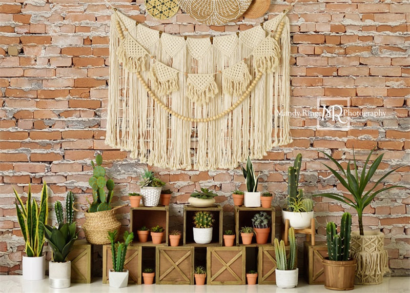 Kate Mur de briques Boho Cactus Toile de fond conçue par Mandy Ringe - Kate Backdrop FR