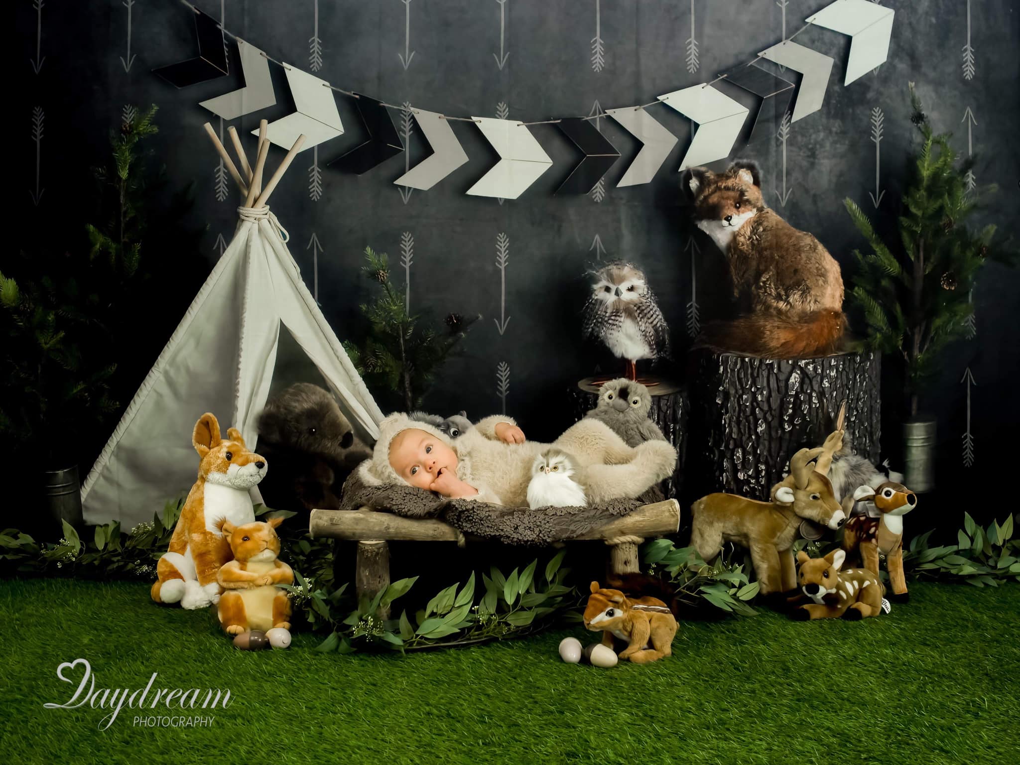 Kate Anniversaire Animaux sauvage Enfants Toile de fond conçue par Mandy Ringe - Kate Backdrop FR