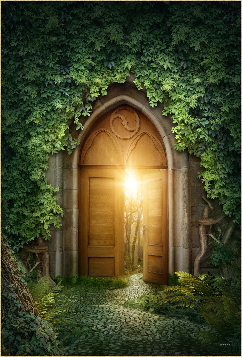 Kate Conte de fées Rêve Vert Jardin Porte Toile de fond pour la photographie - Kate Backdrop FR