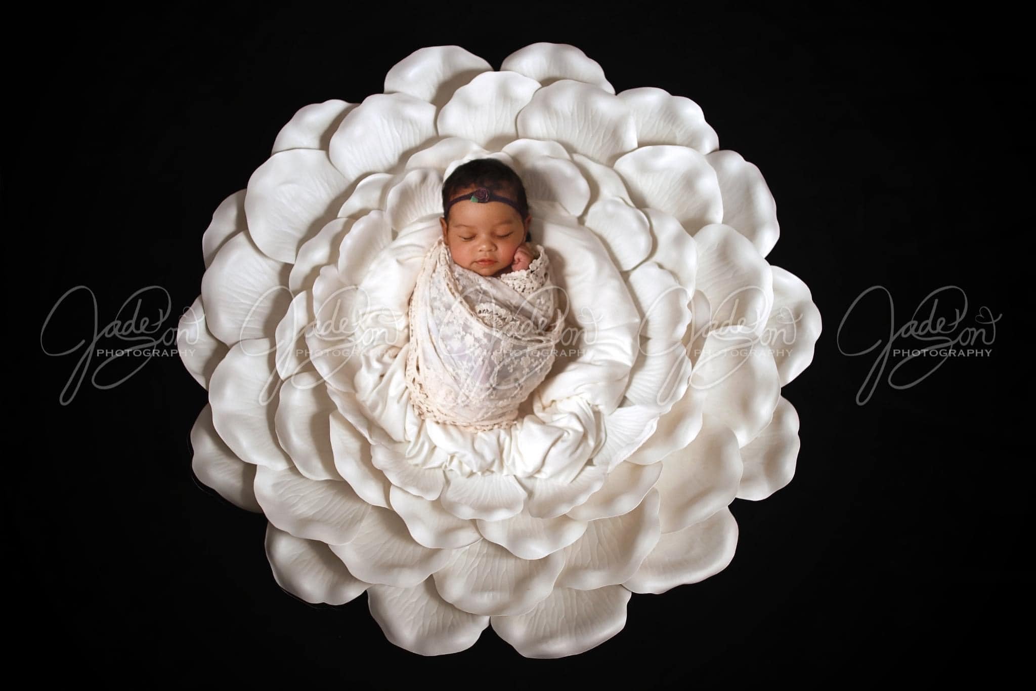 Kate Couleur unie Noir Toile de fond Photographie de portrait - Kate Backdrop FR