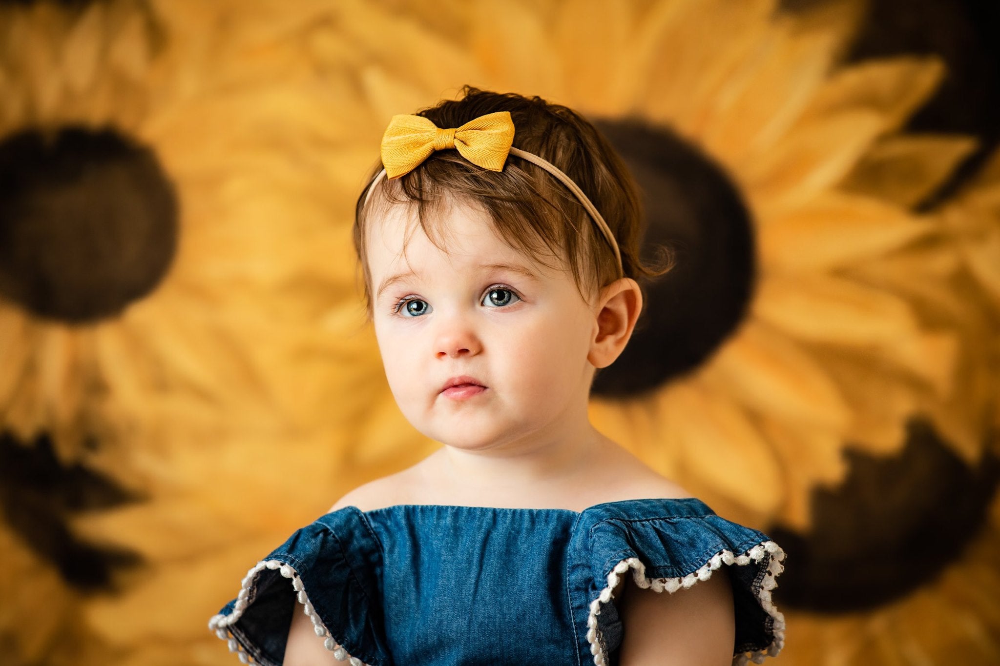 Kate Fleur symphonique Tournesol Jaune Toile de fond conçue par Modest Brushes - Kate Backdrop FR