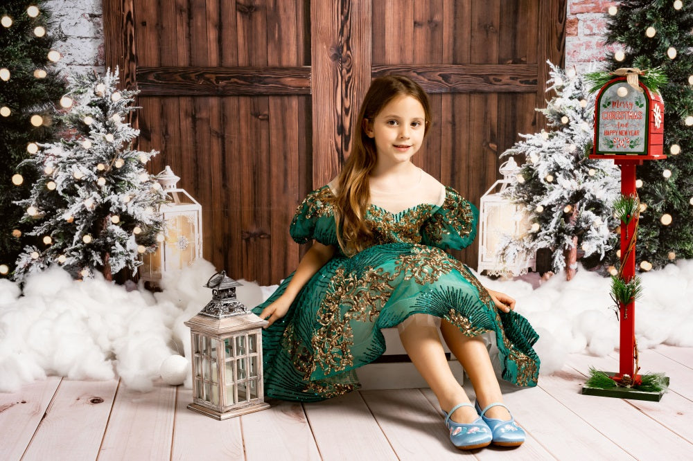 Kate Noël Mur de briques Arbres Porte Hiver Toile de fond conçue par Emetselch - Kate Backdrop FR