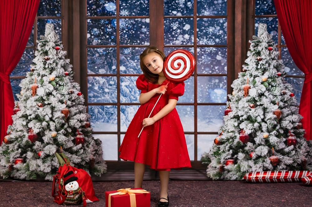 Kate Fenêtre Noël Hiver Neige Toile de fond conçue par Chain Photographie - Kate Backdrop FR