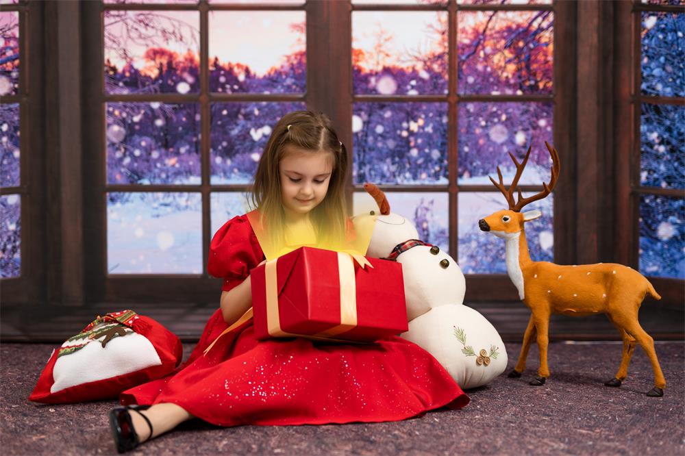 Kate Porte-Fenêtre Nuit Noël Hiver Toile de fond conçue par Chain Photography - Kate Backdrop FR