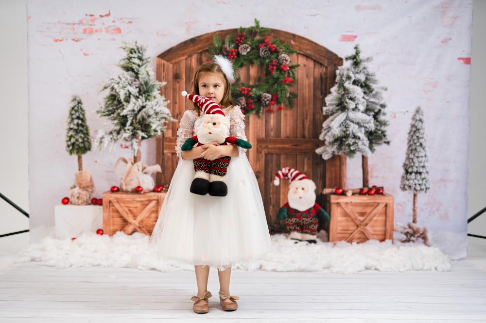 Kate Sapin de Noël Porte Neige Hiver Toile de fond conçue par Emetselch - Kate Backdrop FR