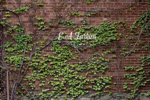 Kate toile de fond de mur de brique Lvy pour la photographie conçue par Erin Larkins - Kate Backdrop FR