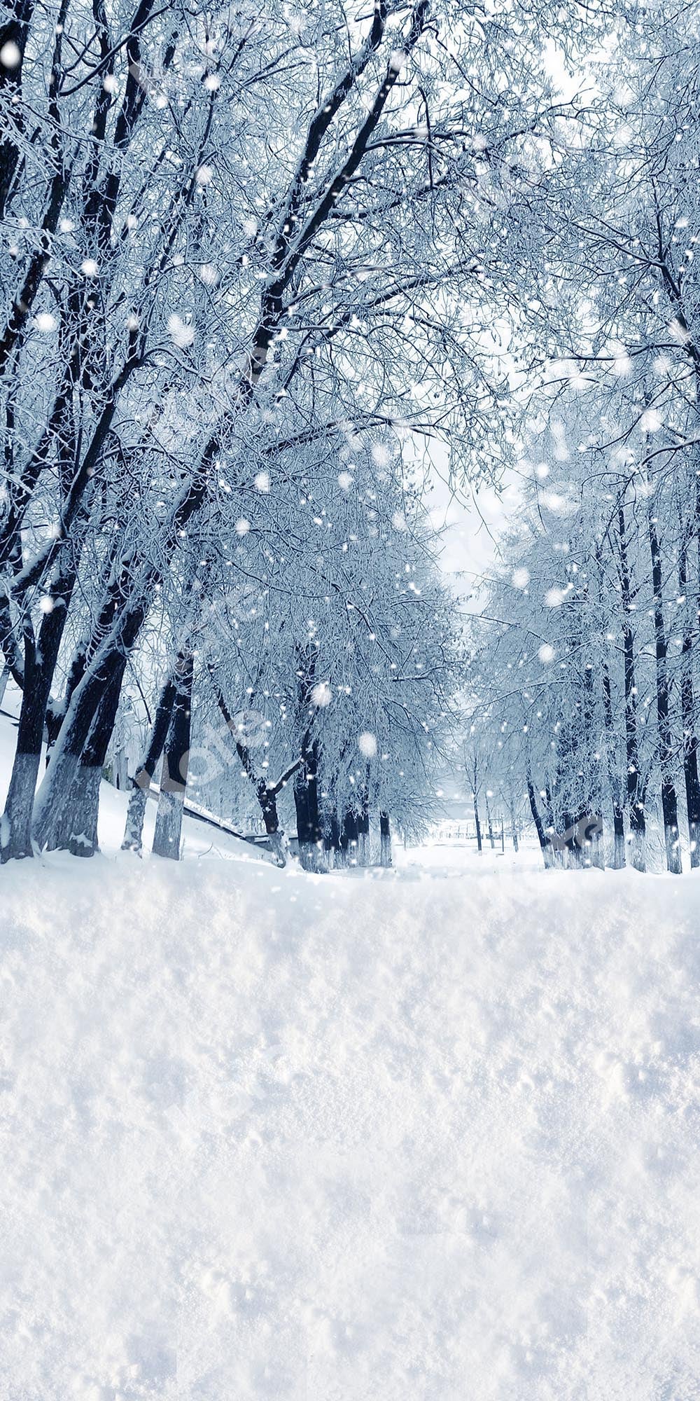 Kate Sweep Mur-à-Sol Forêt Neige Hiver Noël Toile de fond conçue par Chain Photographie - Kate Backdrop FR
