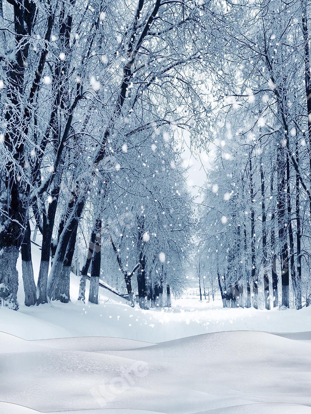 Kate Forêt Neige Hiver Noël Toile de fond conçue par Chain Photographie - Kate Backdrop FR