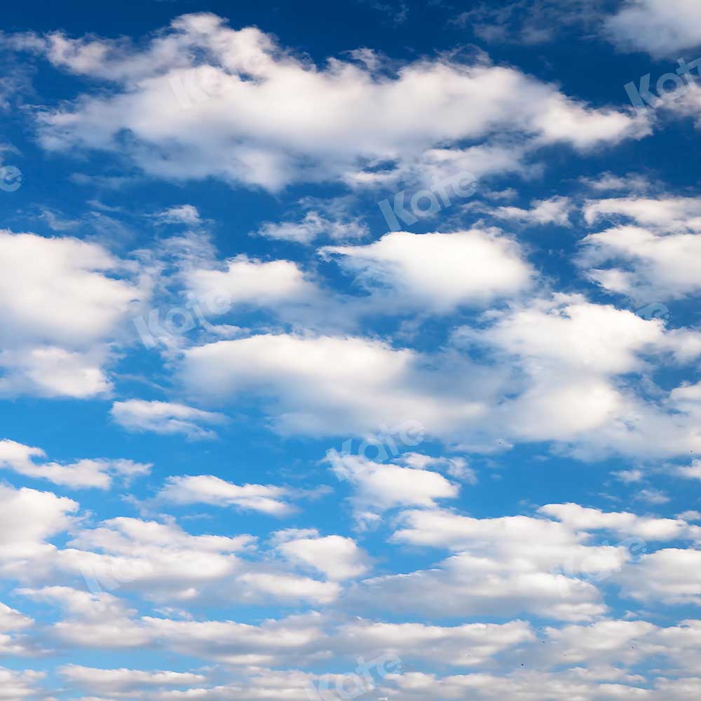 Kate Été Nuage Bleu Ciel Blanc Toile de fond pour la photographie