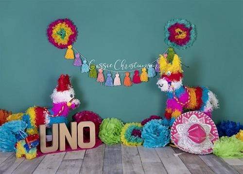Katebackdrop£ºKate 1st Birthday Party with Colorful Decoration Backdrop for Photography Designed by Cassie Christiansen Photography