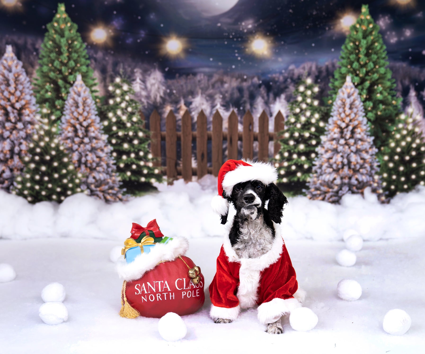 Kate Ferme de pins Nuit Noël Lune Toile de fond conçue par Jerry_Sina - Kate Backdrop FR