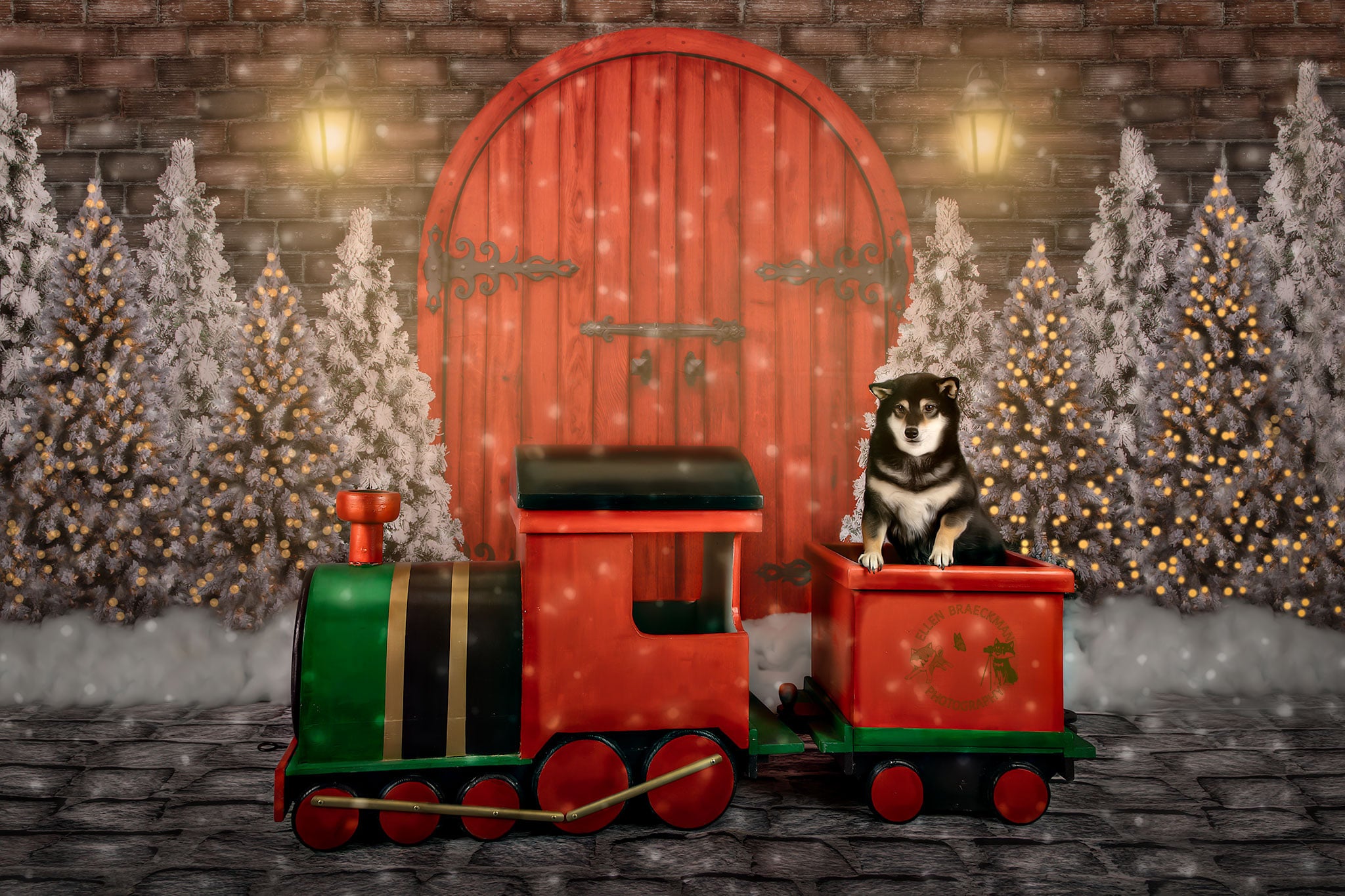 Kate Porte Rouge Noël Nuit Hiver Toile de fond conçue par Jerry_Sina - Kate Backdrop FR