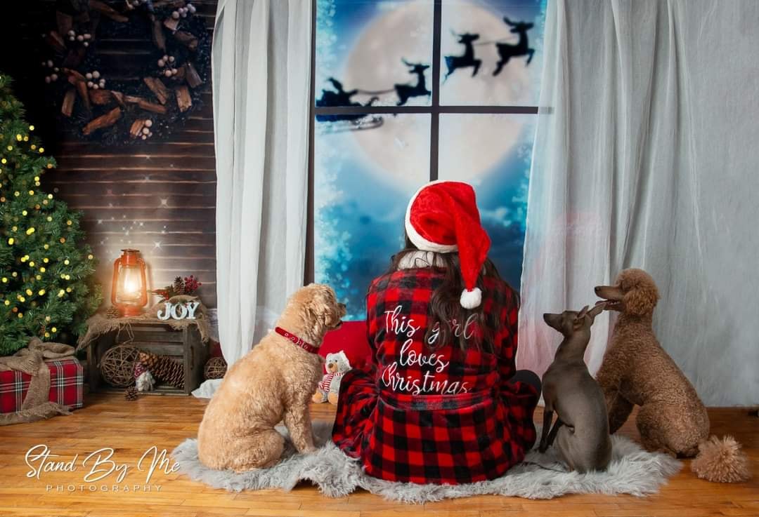 Kate Lune Noël Rennes à l'extérieur Fenêtre Toile de fond pour la photographie - Kate Backdrop FR