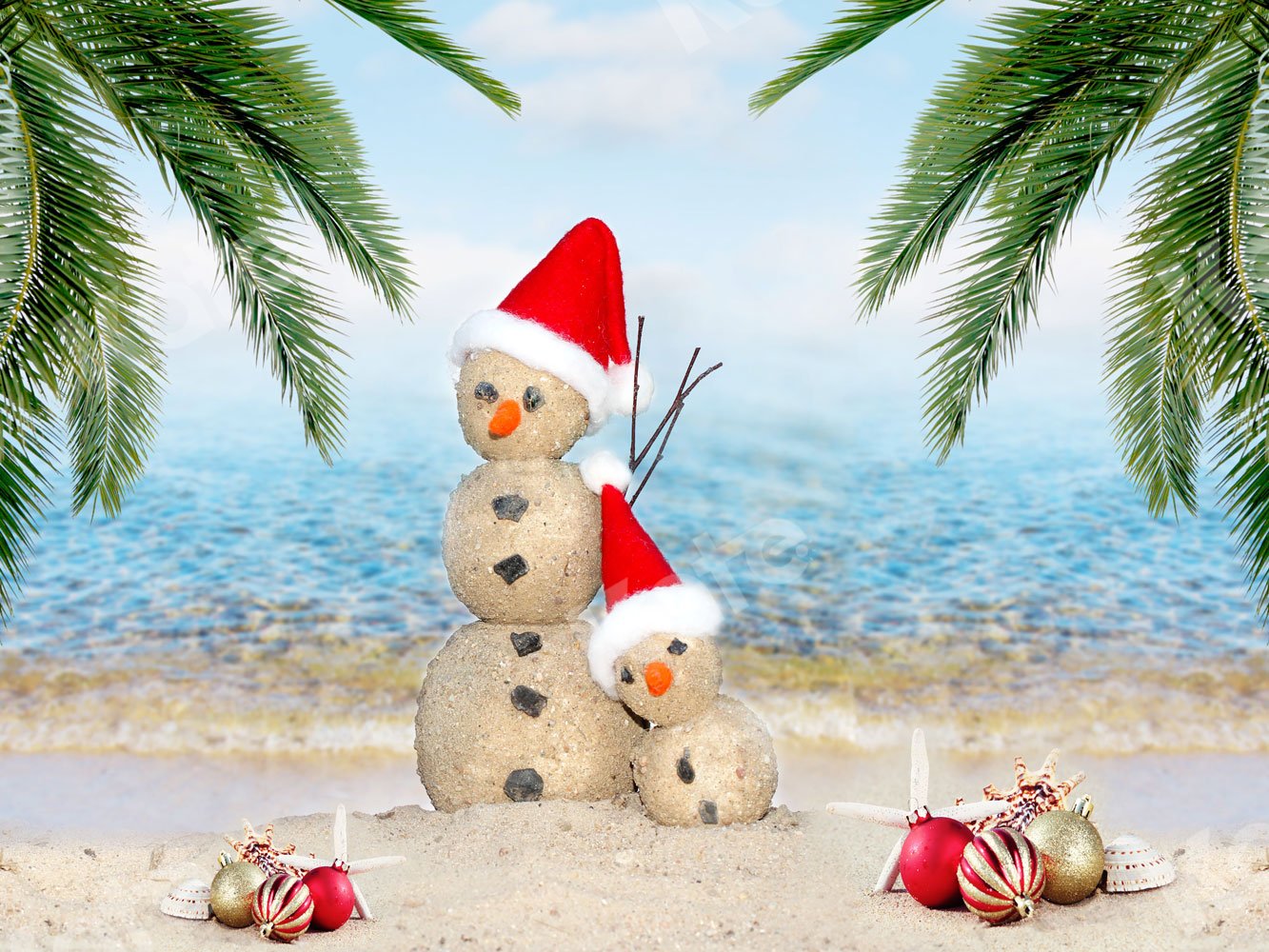 Kate Noël Plage Mer Bonhomme de neige Toile de fond pour la photographie - Kate Backdrop FR