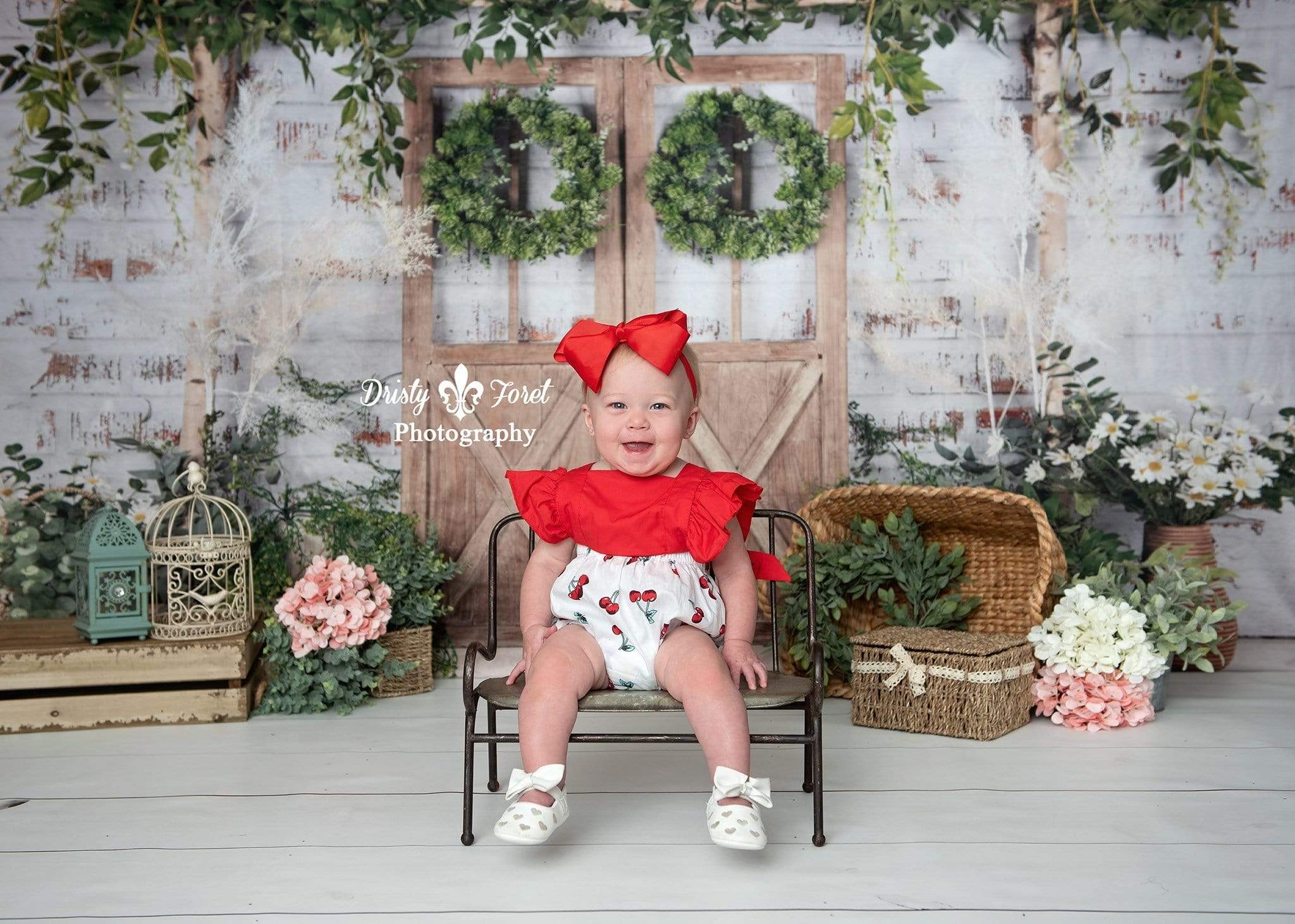 Katebackdrop£ºKate Spring Green Plants Barn Door Backdrop Designed by Jia Chan Photography