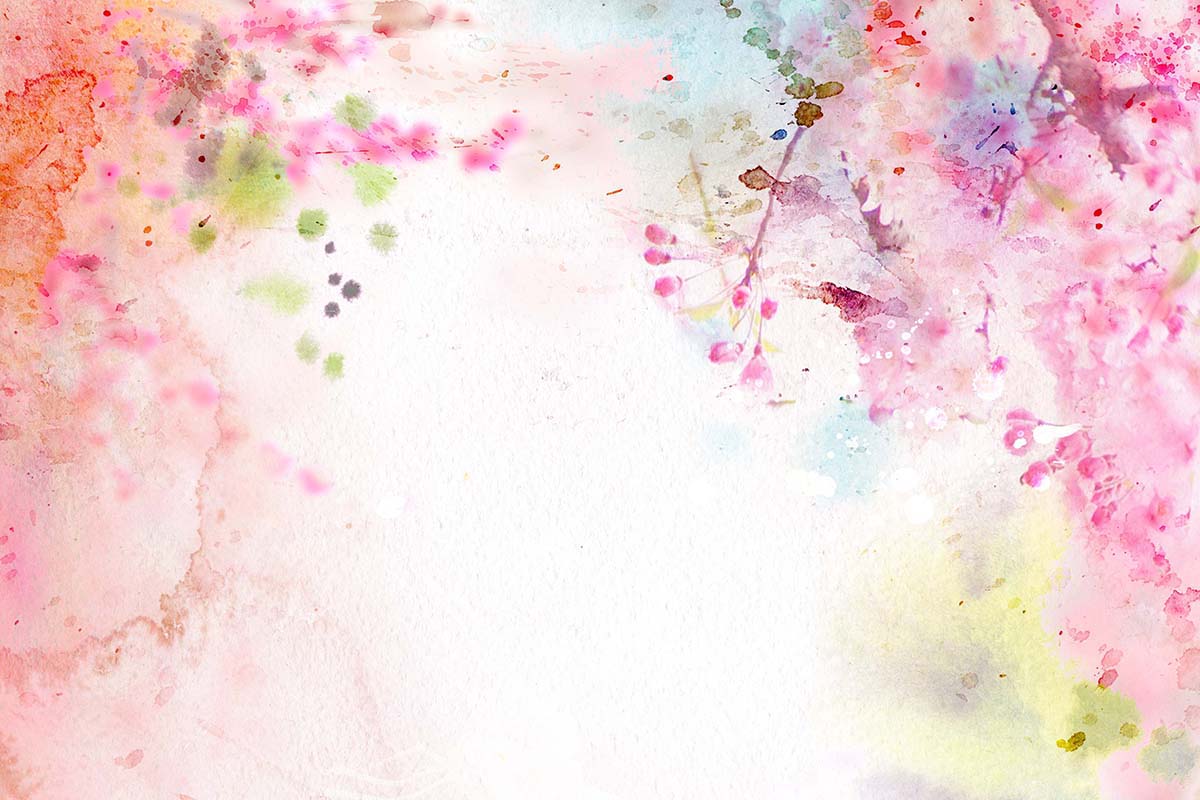 Kate Fleurs roses Beaux-arts Printemps Toile de fond conçue par Chain Photographie - Kate Backdrop FR