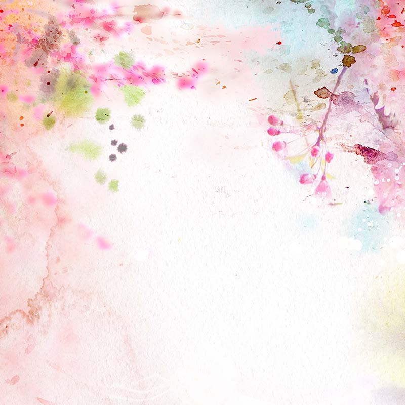 Kate Fleurs roses Beaux-arts Printemps Toile de fond conçue par Chain Photographie - Kate Backdrop FR