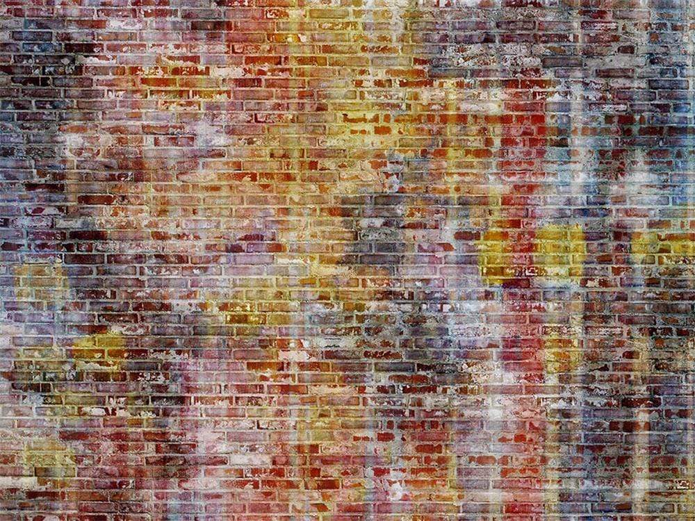 Kate toile de fond colorée de mur de briques conçue par Kate image - Kate Backdrop FR
