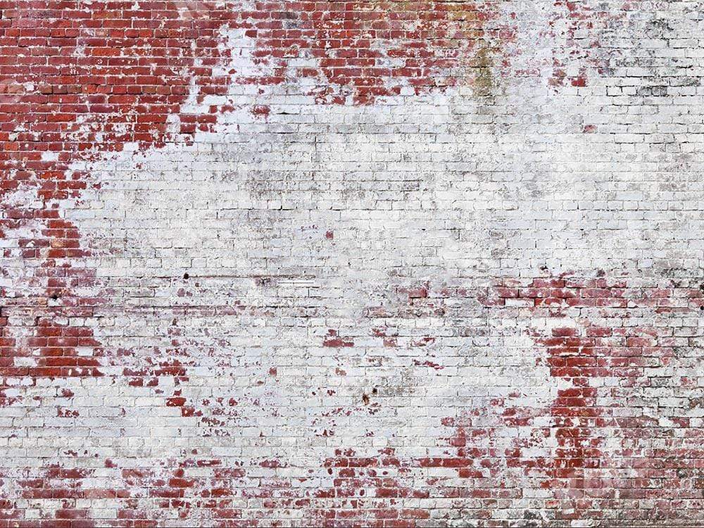 Kate toile de fond de mur de briques blanches rouge conçu par Kate image - Kate Backdrop FR