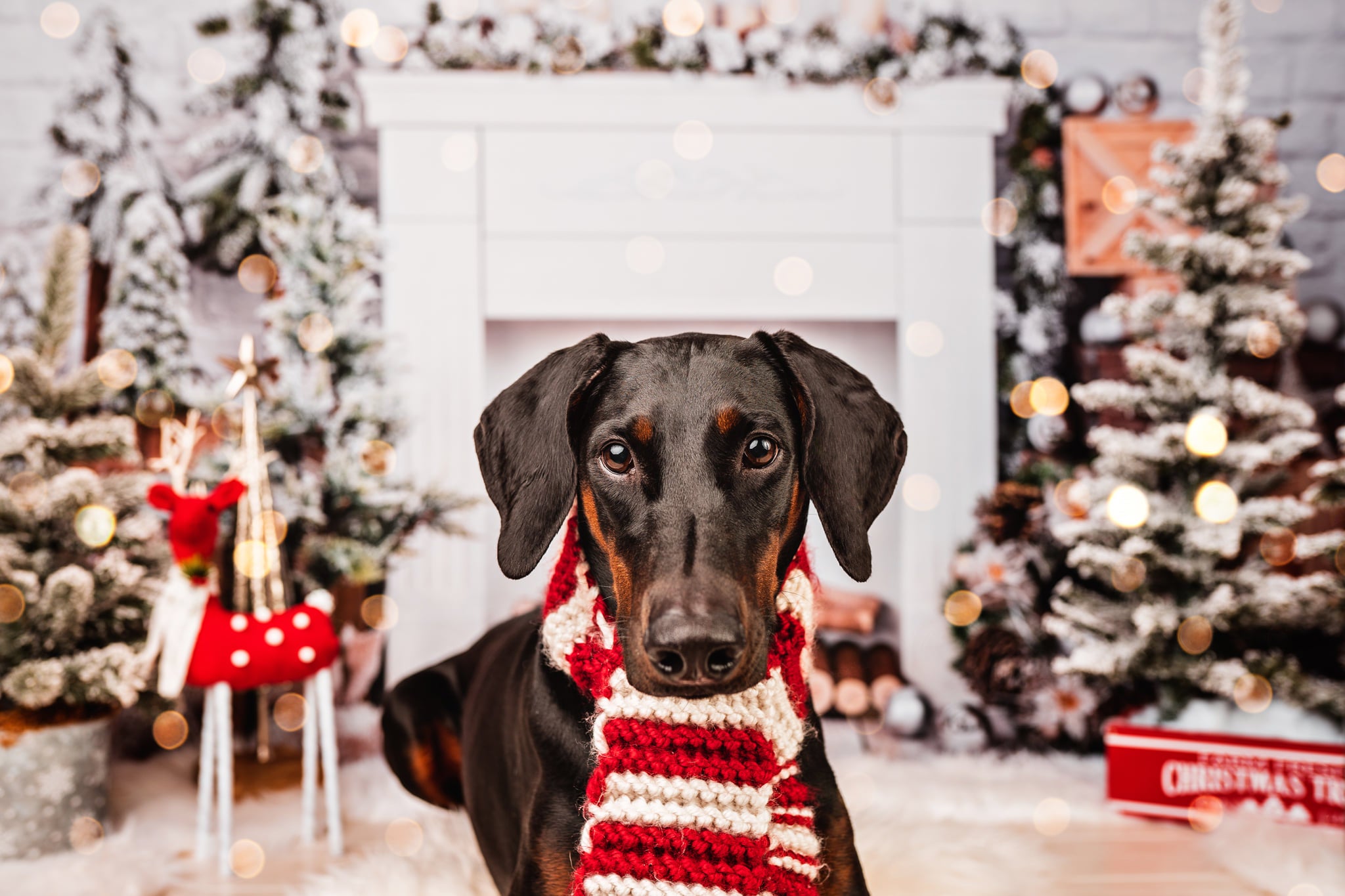 Kate Cheminée Mur de briques Noël Blanc Toile de fond conçue par Emetselch - Kate Backdrop FR