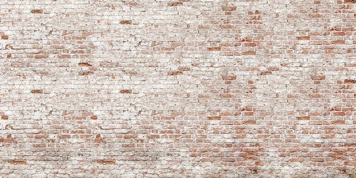 Kate Vieille Mur de briques Portrait de famille Toile de fond conçue par Kate image - Kate Backdrop FR