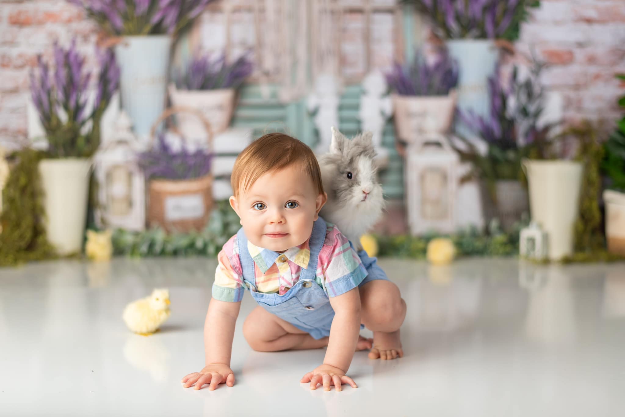 Kate Printemps Fête des mères Brique Boho Lavande Toile de fond conçu par Emetselch - Kate Backdrop FR