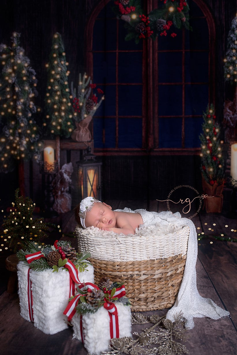 Kate Noël Fenêtre Arbres Mur en bois Toile de fond pour la photographie - Kate Backdrop FR