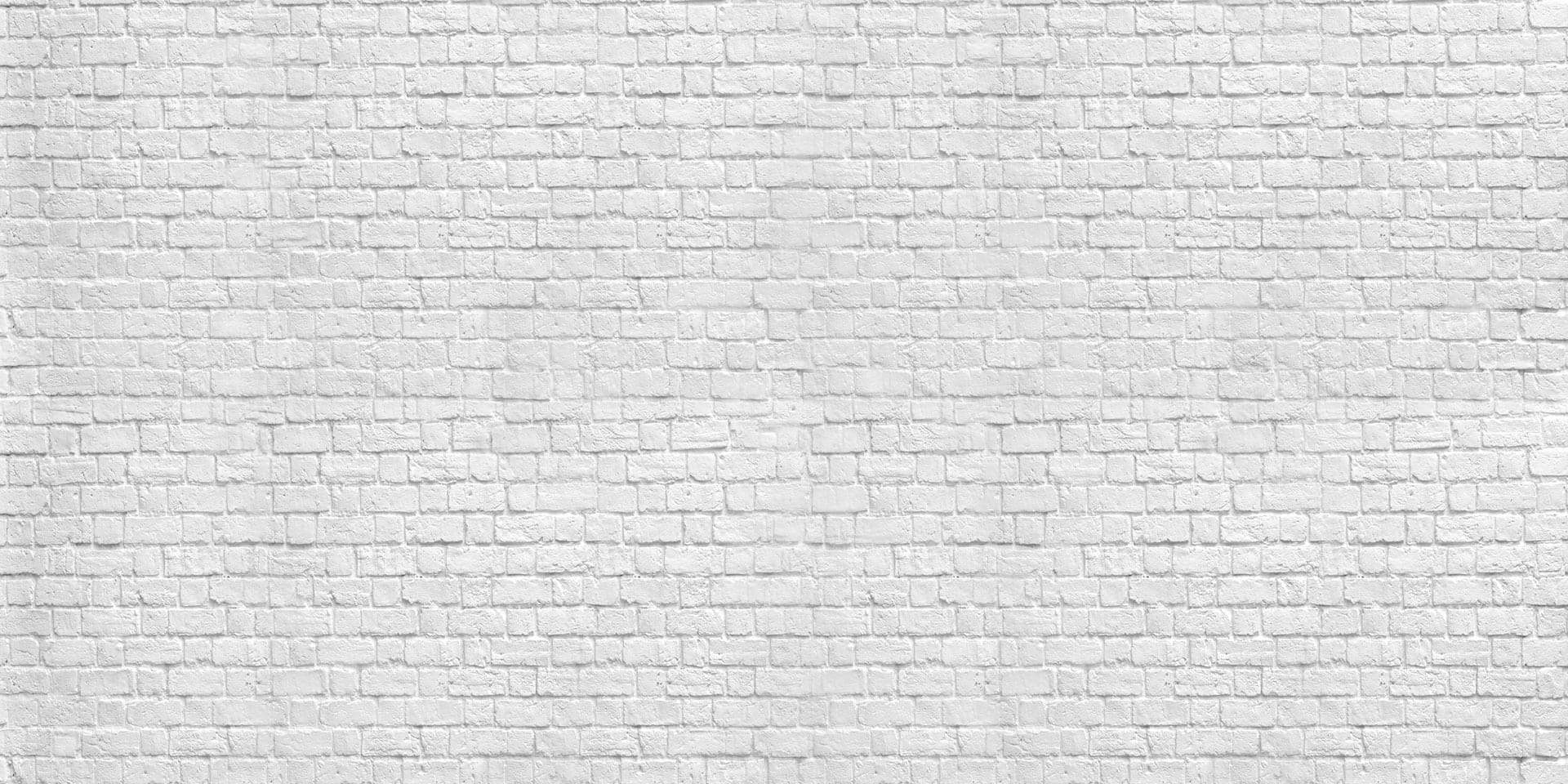 Kate Mur de briques Blanc Photographie Graduation Toile de fond - Kate Backdrop FR